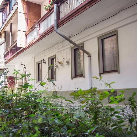 Seek And Hide - Csilla'S Tiny Hideaway Braşov Esterno foto